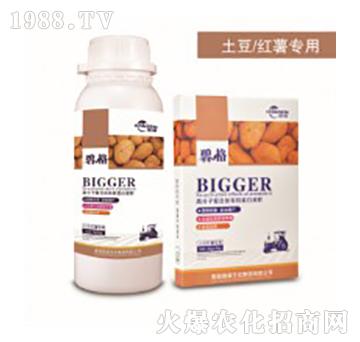 t팣ø߷ӏͺЙCҺ-̸-ɭrI(y)