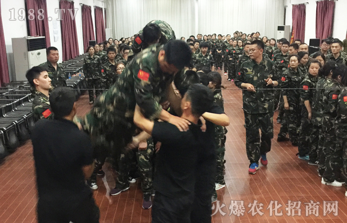 2017動(dòng)能覺(jué)醒培訓(xùn)總結(jié)