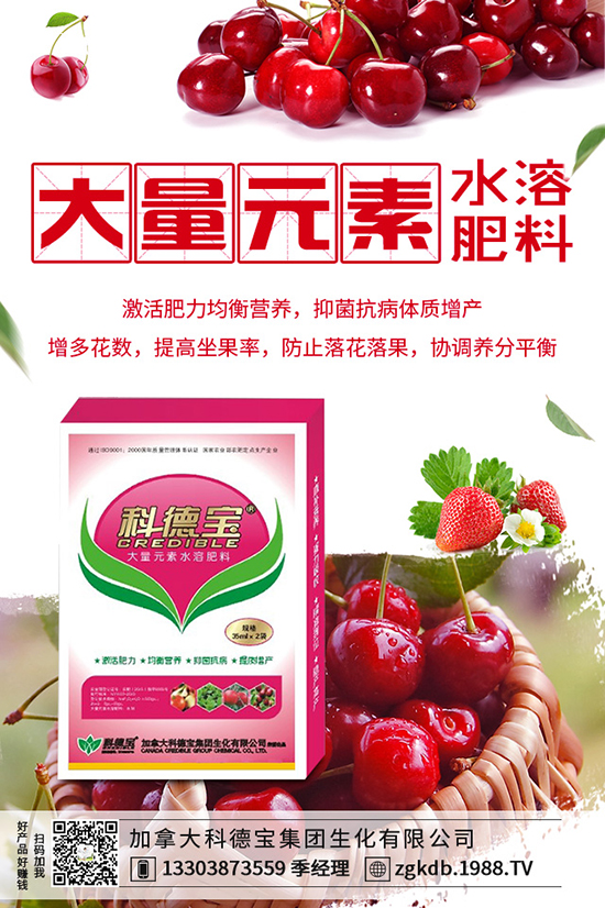 2019.10.11國內(nèi)市場(chǎng)尿素價(jià)格行情走勢(shì)分析及后市預(yù)測(cè)
