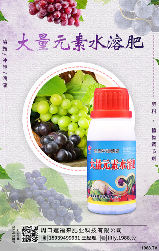 СN粻RôС粻A(y)ʩ