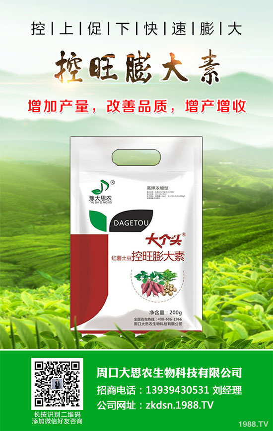 СN粻RôС粻A(y)ʩ