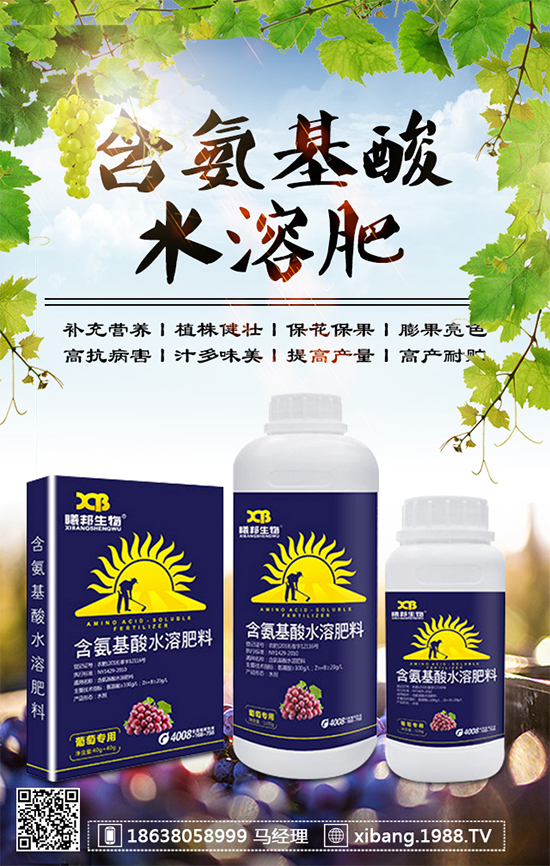 香蔥常見病害有哪些?香蔥病蟲害防治技術大全