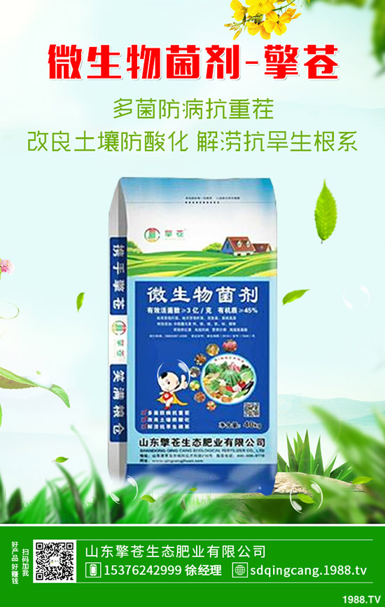尿素價格連續(xù)下跌!近期尿素行情走勢分析2019-10-17