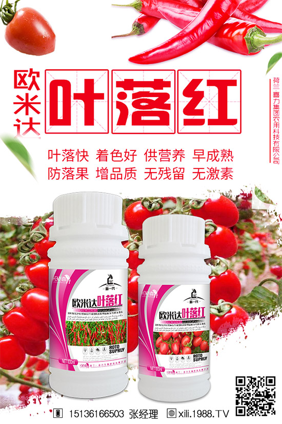 茄子生長(zhǎng)期為啥會(huì)早衰?防治茄子早衰的方法!