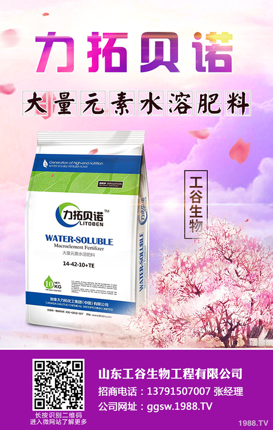     鼴؃r(ji)A(y)y2019-10-22