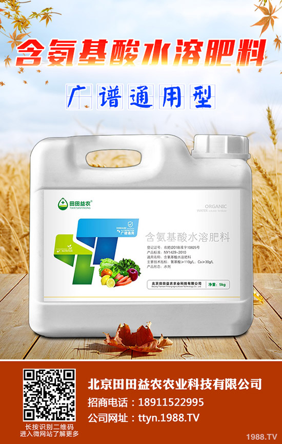 種植菠蘿蜜要注意什么，菠蘿蜜的種植注意事