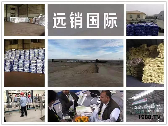 礦源黃腐酸鉀——精品肥!1公斤=8噸有機肥!新疆源頭直發(fā)。!