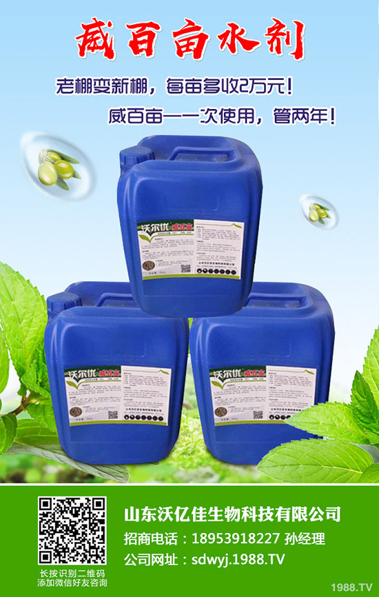 甜瓜什么時候種植?甜瓜怎么種植能高產(chǎn)?