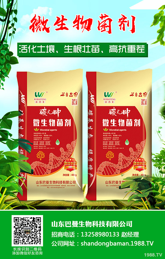 復(fù)合肥行業(yè)拓開新市場(chǎng)!2019年11月下旬復(fù)合肥行情走勢(shì)分析!