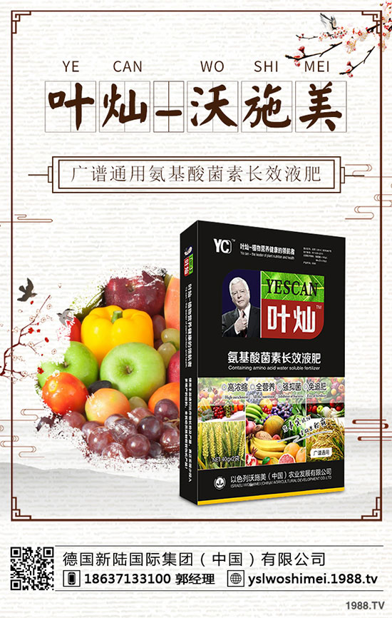 生菜栽培季節(jié)是什么時候?生菜高產(chǎn)技術有哪些?