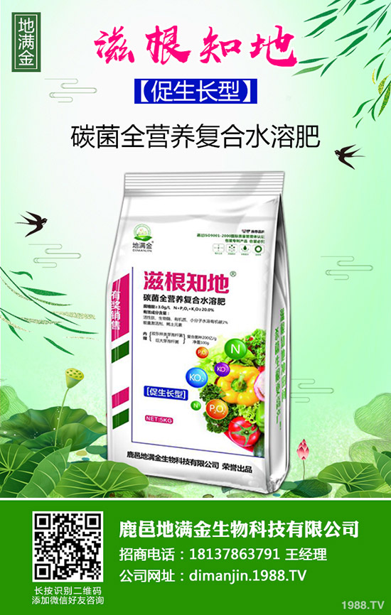     @ԣ궬ǲC201911³@A(y)y