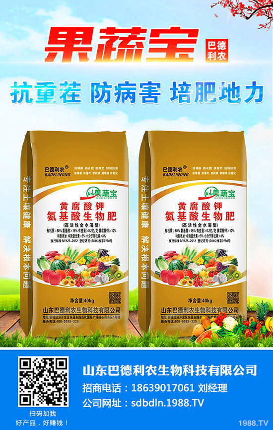2020種植小黃姜怎樣?價(jià)格行情好么?小黃姜種植效益高不高!