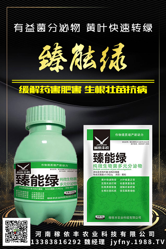 鉀肥不陌生,對作物的影響咱知道嗎?
