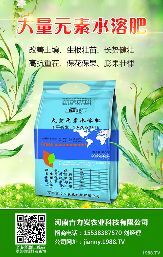 花椒樹什么時候種植?花椒樹種植季節(jié)及種植技術要點