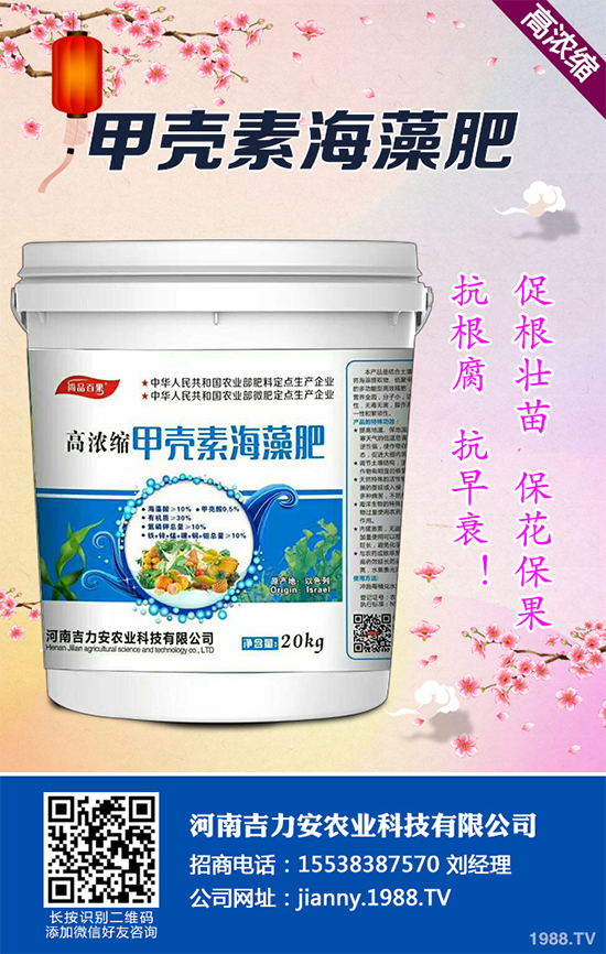 花椒樹什么時候種植?花椒樹種植季節(jié)及種植技術要點