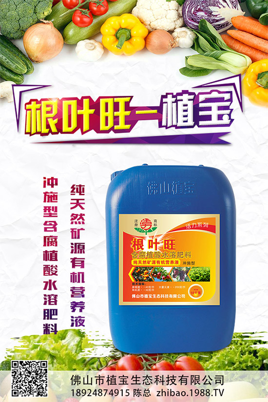柚子有許多品種,各有各的風(fēng)味。但眼尖的人會(huì)發(fā)現(xiàn),市面上賣的紅肉蜜柚比普通蜜柚要貴上許多。同樣是柚子,外表看起來(lái)也差不多,紅肉蜜柚憑什么比白肉柚子貴?