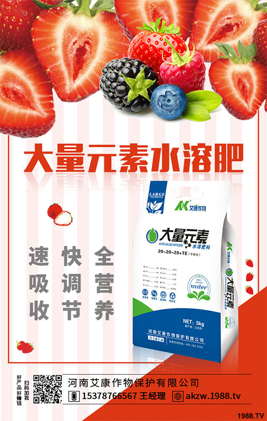 老虎姜該怎么種植？老虎姜高產種植技術管理