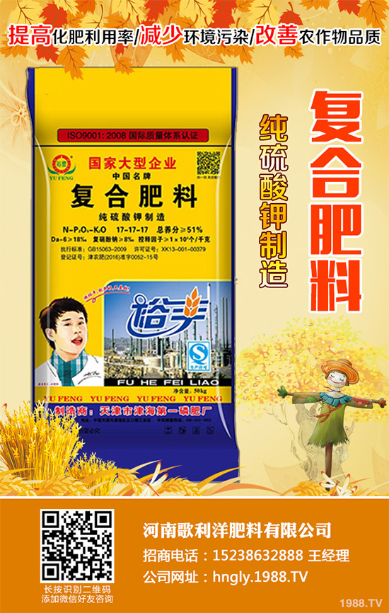 老虎姜該怎么種植？老虎姜高產種植技術管理