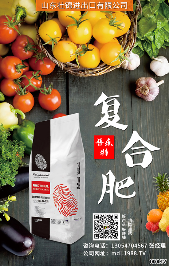 魔芋有哪些營養(yǎng)價值?魔芋的營養(yǎng)價值及功效作用