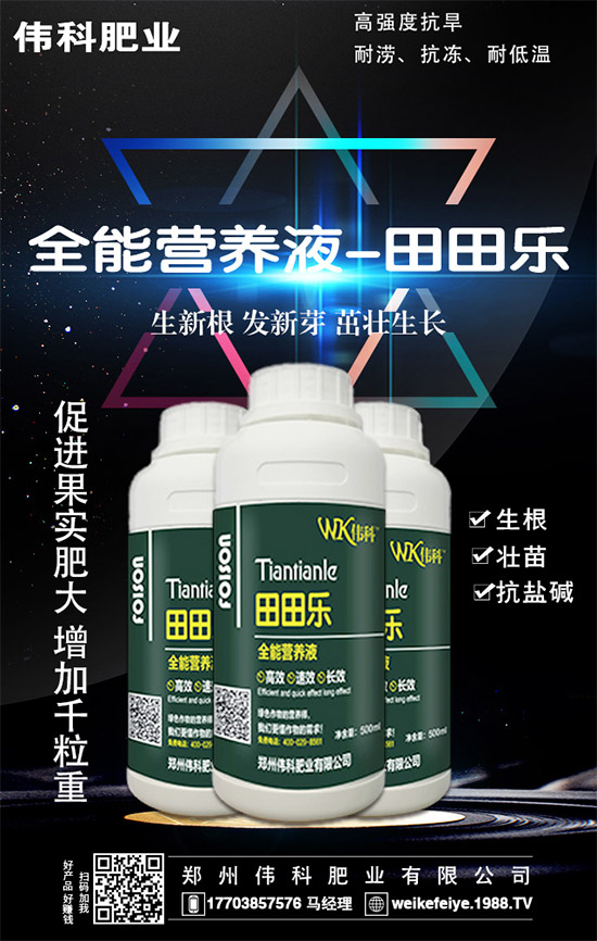 橙子的營(yíng)養(yǎng)價(jià)值有哪些?功效與作用有哪些?不易哪些人群食用?