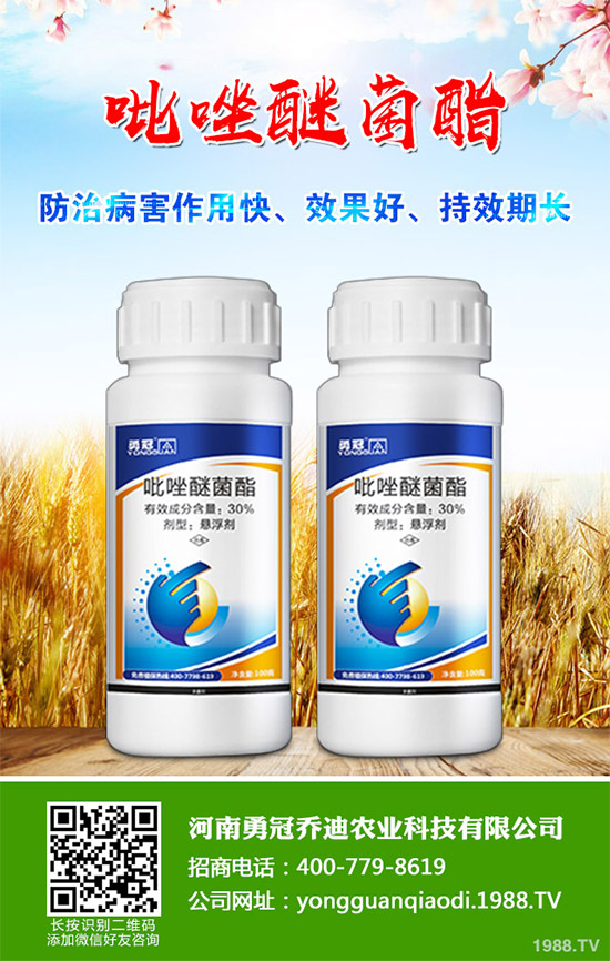 嘧霉胺農藥價格