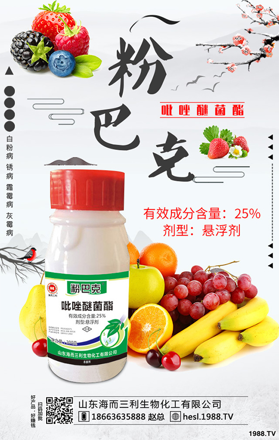 十三嗎啉