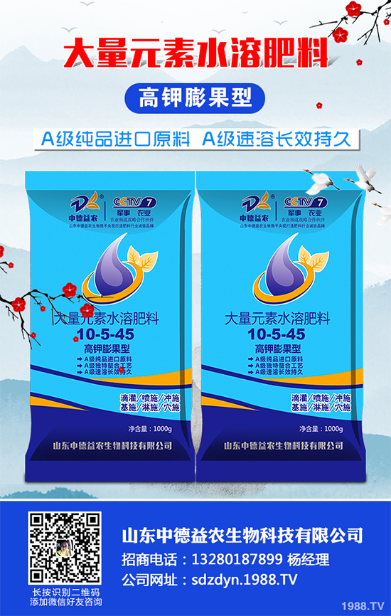 西蘭花該怎么種植?西蘭花高產(chǎn)種植技術(shù)要點(diǎn)
