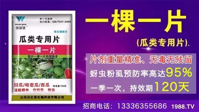 蚜蟲、飛虱防不?一片藥輕松搞定!預(yù)防率95%,持效長達(dá)120天!