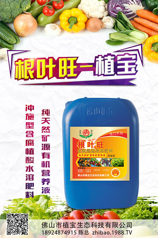 大蔥種植需要滿足那些條件?大蔥種植時(shí)間及對(duì)環(huán)境的要求
