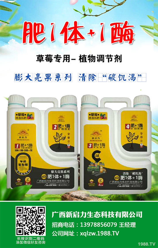 大蔥種植需要滿足那些條件?大蔥種植時(shí)間及對(duì)環(huán)境的要求