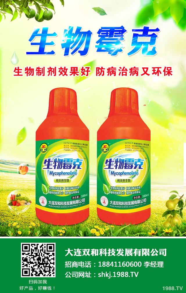 西瓜霜霉病怎么辦?西瓜霜霉病的防治很關鍵