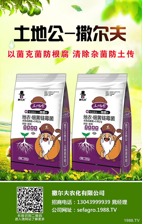 2019年9月末最新尿素市場(chǎng)價(jià)格行情綜合分析