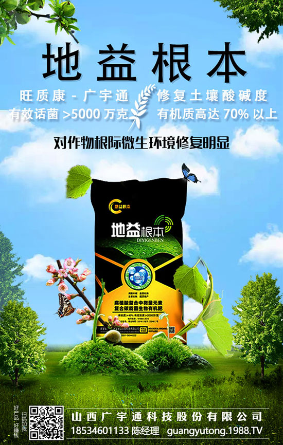 2020߮a(chn)Nֲֵղأ