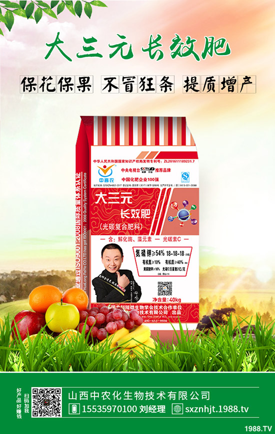     紺磿紺ϷNֲЩ