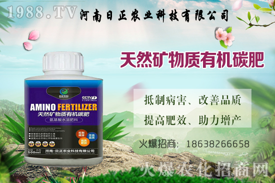 @ѕr(sh)gǺΕr(sh)Д(bio)(zhn)ʲô@ע(xing)