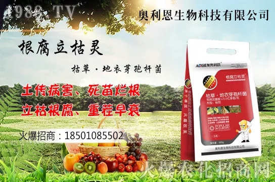 果樹栽培四大誤區(qū)有哪幾點?如何提高果樹栽植的成活率?