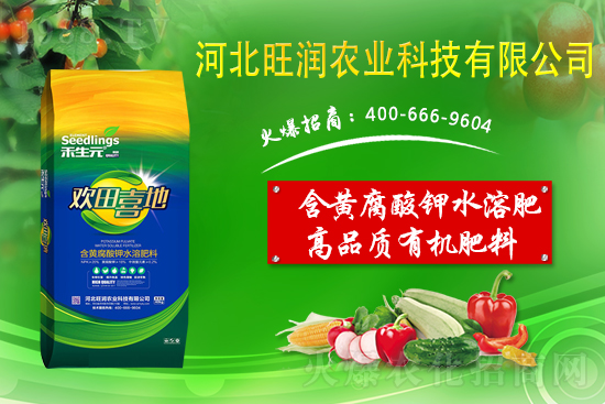 果園反光膜怎么鋪效果好？果園鋪反光膜五要點！