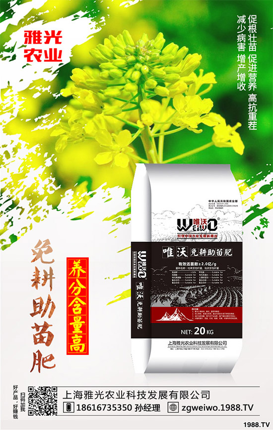 當(dāng)下正是春耕春種的關(guān)鍵時(shí)期,馬鈴薯種植也提上了日程,很多農(nóng)戶都忙了起來。但是很多農(nóng)戶都對(duì)馬鈴薯高產(chǎn)沒有信心,因?yàn)橥暧行┺r(nóng)戶種植馬鈴薯只長秧不結(jié)薯看起來馬鈴薯枝蔓很旺盛,以為是個(gè)豐收年,可是等到收獲時(shí)幾乎沒有結(jié)薯,這到底是什么原因呢?該如何解決?
