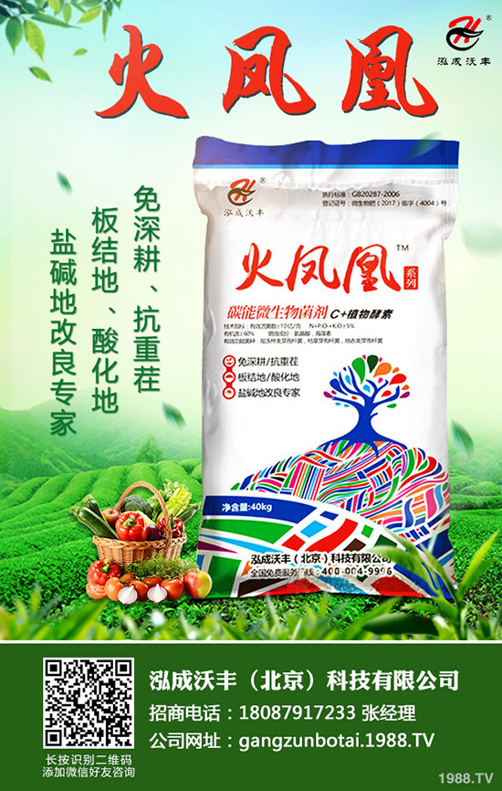 常見(jiàn)果樹(shù)蛀干害蟲有哪些,果樹(shù)蛀干害蟲如何消滅?
