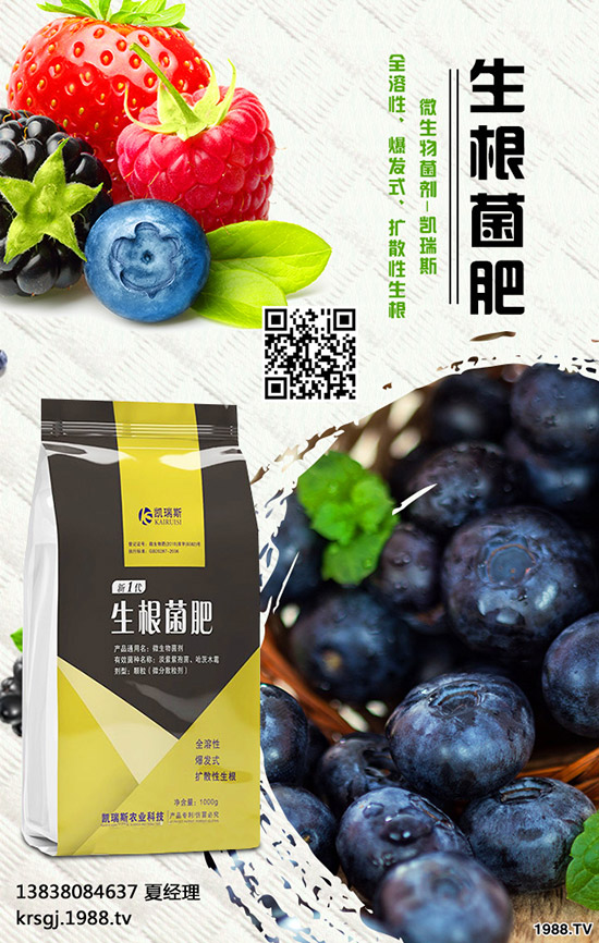長(zhǎng)壽花盆栽施肥要注意哪些問題,長(zhǎng)壽花盆栽施肥要點(diǎn)!