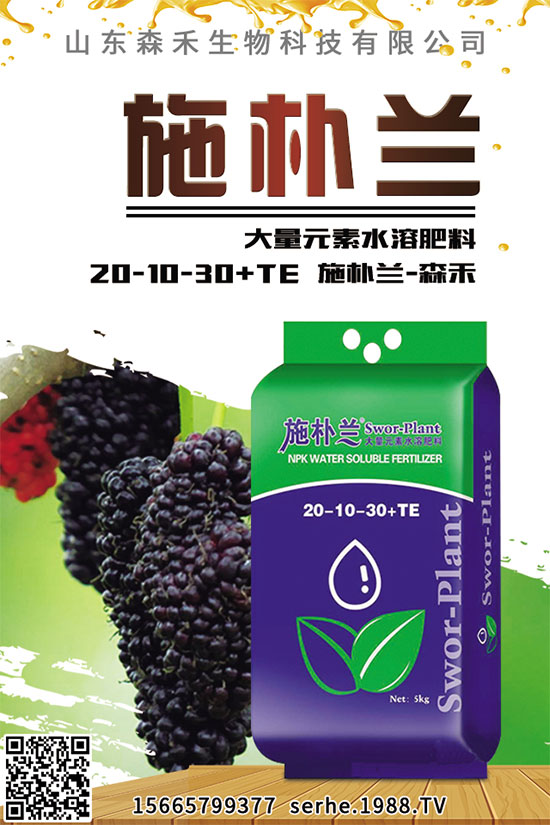 你知道菠菜都有哪些營養(yǎng)價(jià)值嗎?菠菜的六大神奇功效,快來看看吧!