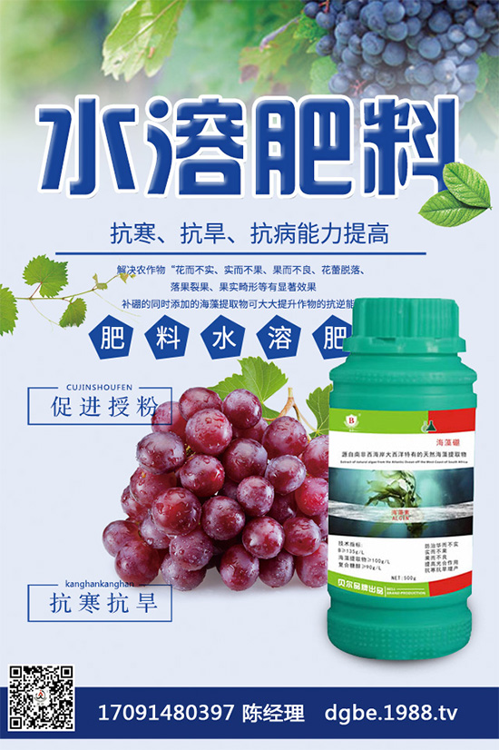露地西瓜該如何育苗?春季露地西瓜高產(chǎn)栽培技術
