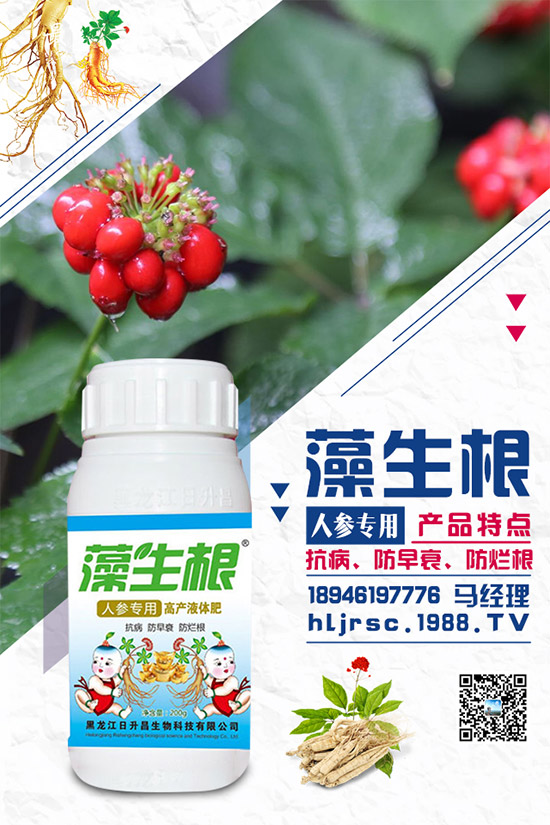 荔枝花期如何施肥,荔枝施肥原則及要點!