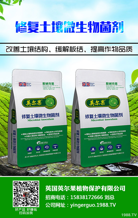 2020年4月21日復合肥夏季肥不溫不火!最新復合肥行情價格預測!
