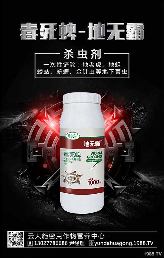ƌW(xu)̽A(li)r(nng)ˎʳzL(fng)U(xin)