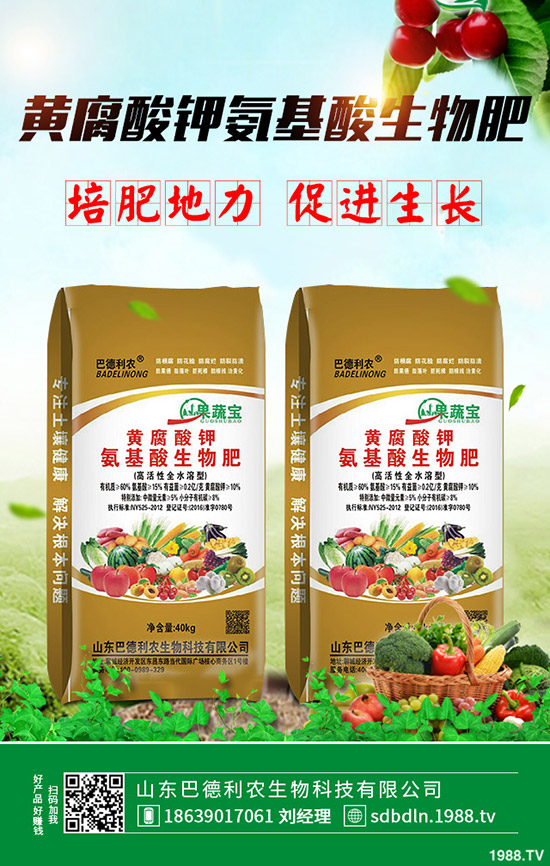 小麥?zhǔn)峭硎崭詈茫窟是早收割好?如何判斷合理小麥?zhǔn)崭顣r(shí)期?小麥成熟的標(biāo)志!
