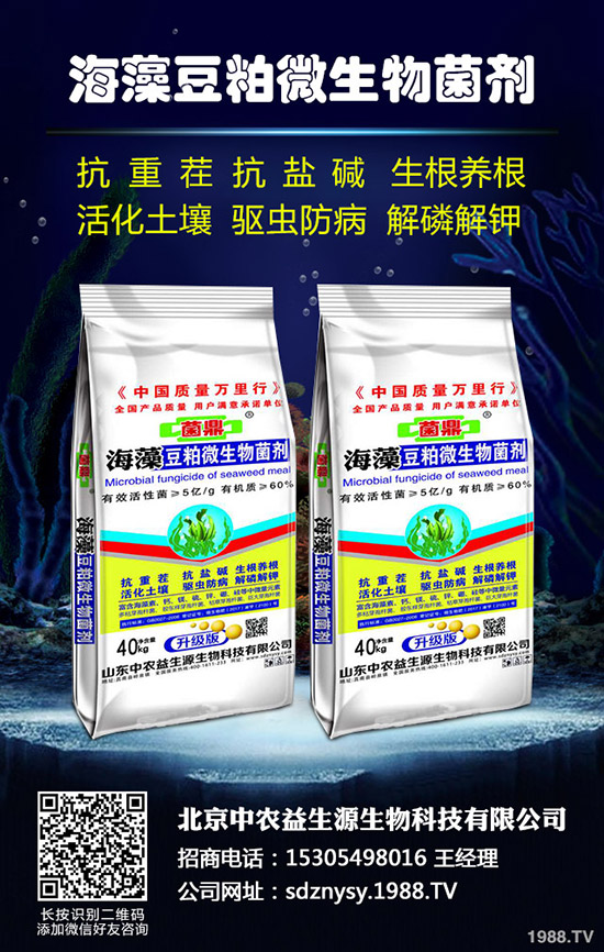     2020-4-8Zʳȫٶ(f)Ϸ鱻ãԭ@