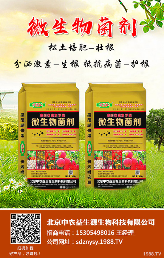 2020年一季度最新國(guó)內(nèi)磷酸一銨市場(chǎng)行情回顧及預(yù)測(cè)