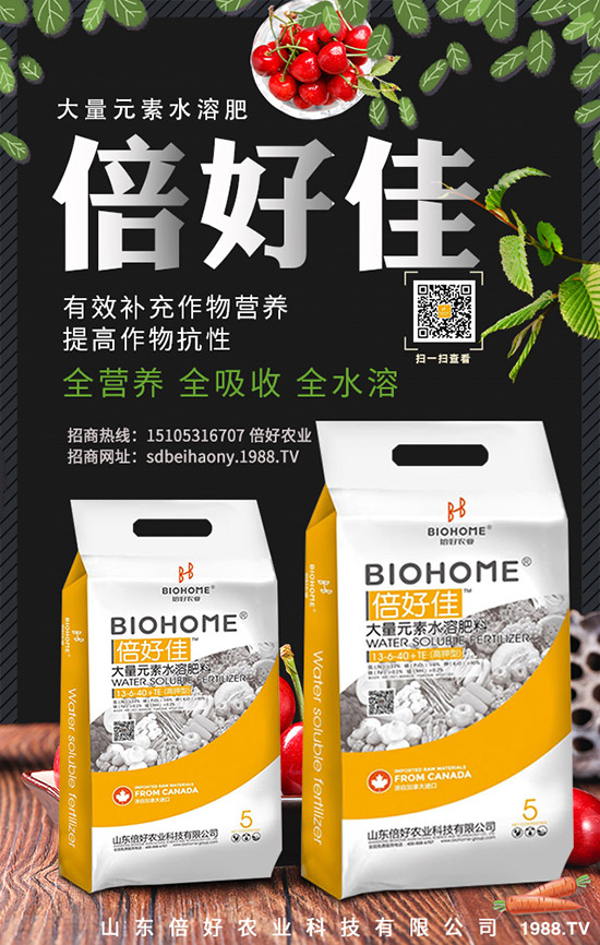 清明假期之后,復(fù)合肥穩(wěn)中局部回落,最新復(fù)合肥行情走勢(shì)2020-4-9