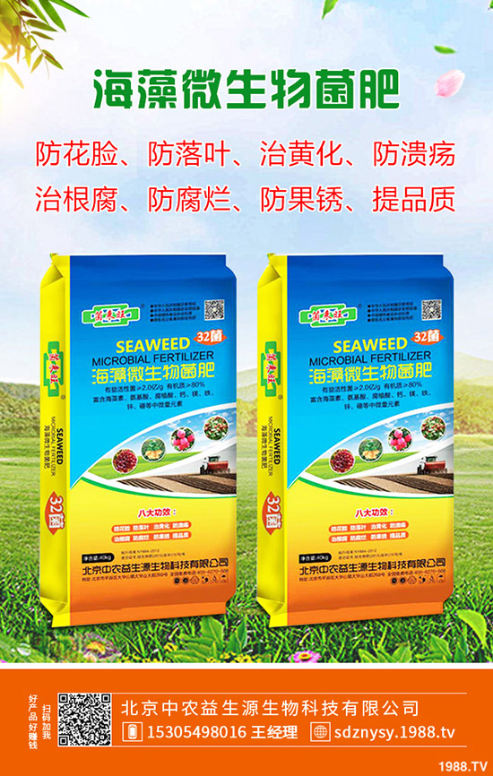 玉木耳栽培注意事項(xiàng)有哪些?玉木耳菌種選購注意有哪些?
